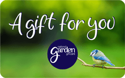 Bluetit A Gift for You