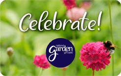 Celebrate Bee