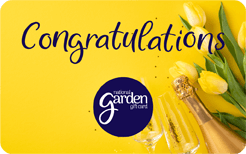 Congratulations fiz tulips