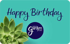 Happy Birthday Succulent