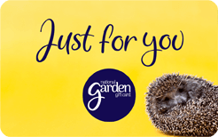 Hedgehog Just for You